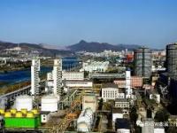 关于辽宁本钢训练开放日，关键时刻更衣室发声引欢呼，法甲在即，轮换策略成焦点的信息-WM体育